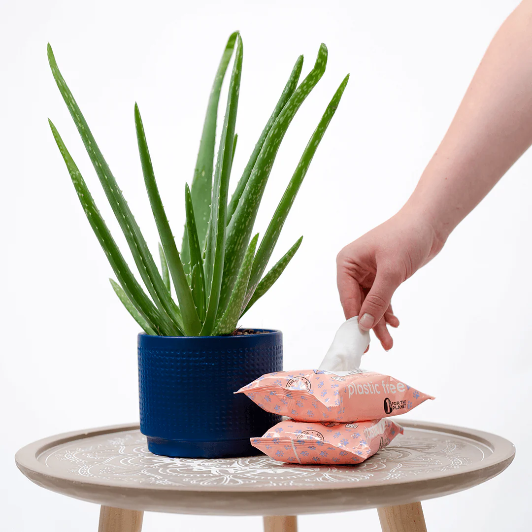 Adios Plastic Compostable Pet Wipes 25 Pack - Image 4