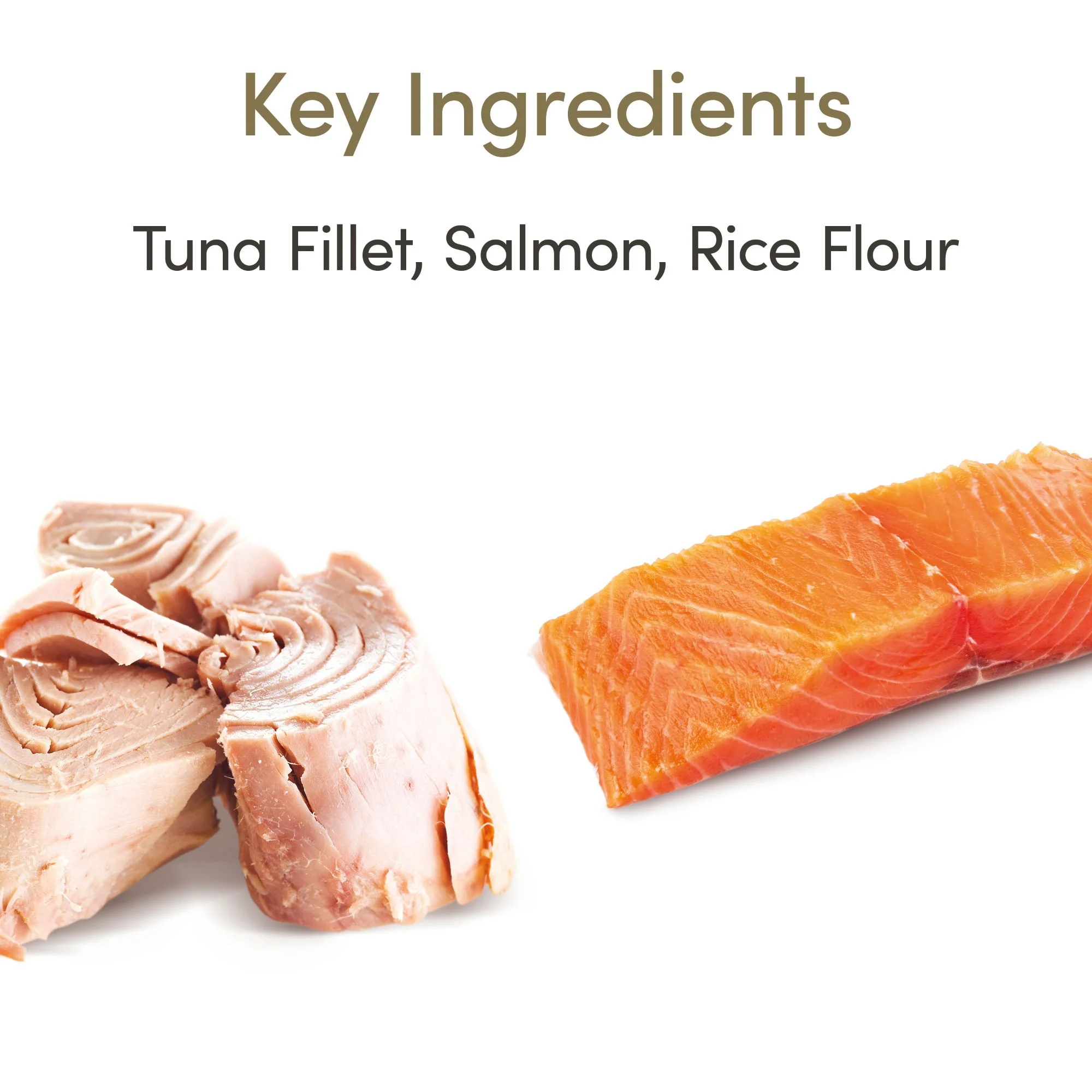 Applaws Adt Wet Cat Food Tuna Fillet&Salmon in Jly 24x70g - Image 3