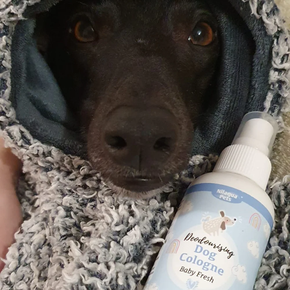 Baby Fresh Dog Cologne 100ml - Image 3