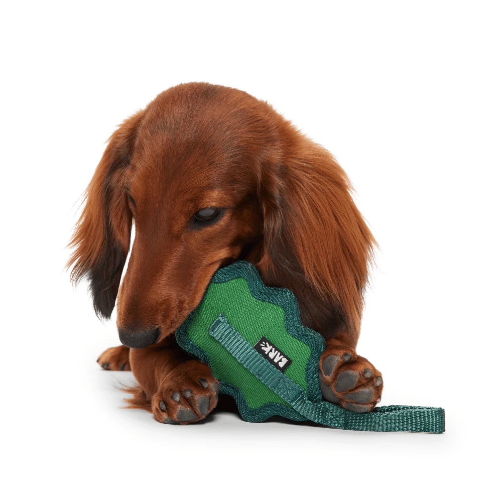 Bark A Green Chew Leaf Dog Toy - Image 2