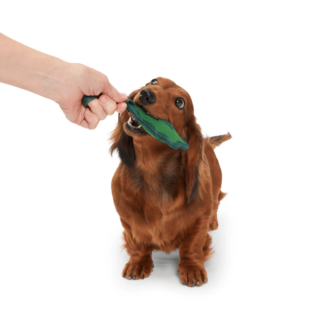 Bark A Green Chew Leaf Dog Toy - Image 3