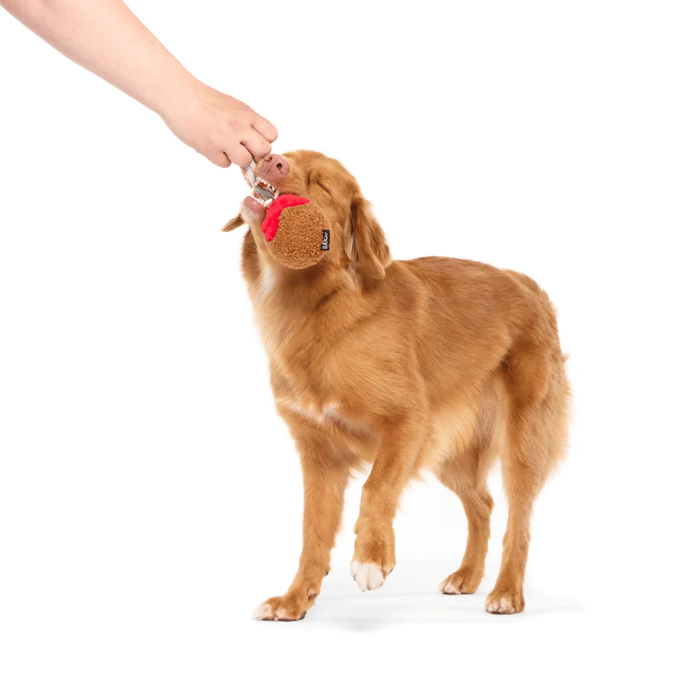 Bark A Squeaky Meat-A-Ball Dog Toy - Image 2