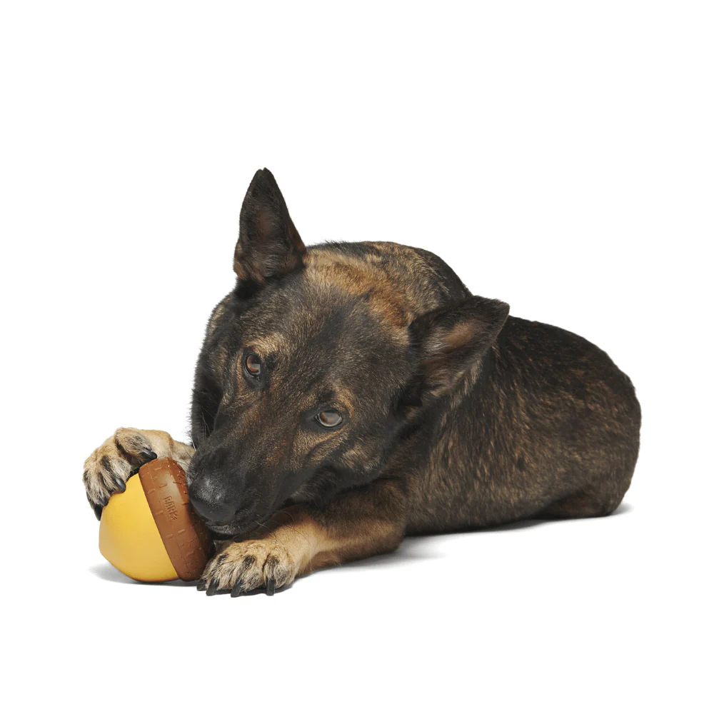 Bark Acornucopia Dog Toy - Image 2