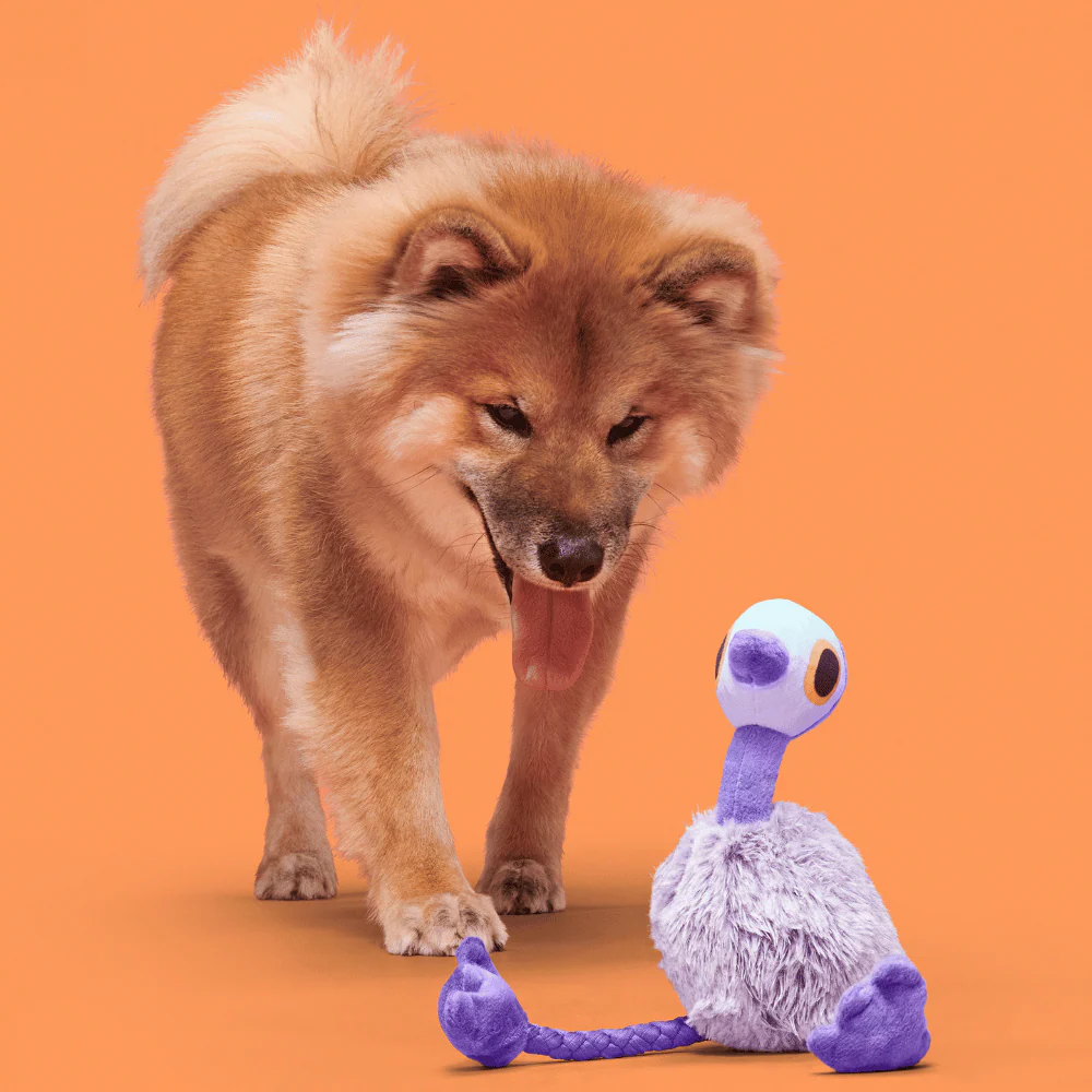 Bark Adelaide Emu Dog Toy - Image 2