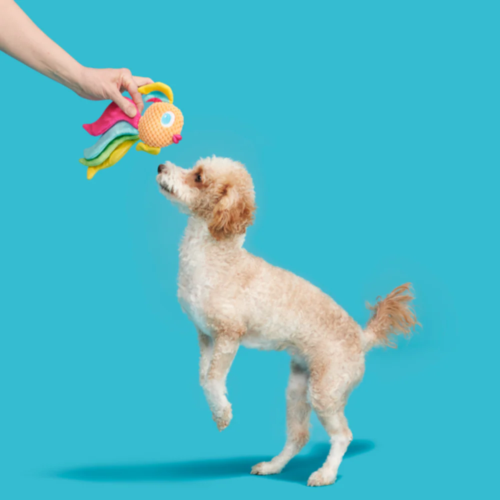 Bark Ahi Tina Dog Toy - Image 2