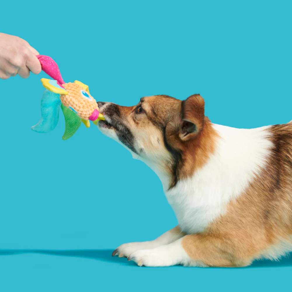 Bark Ahi Tina Dog Toy - Image 4