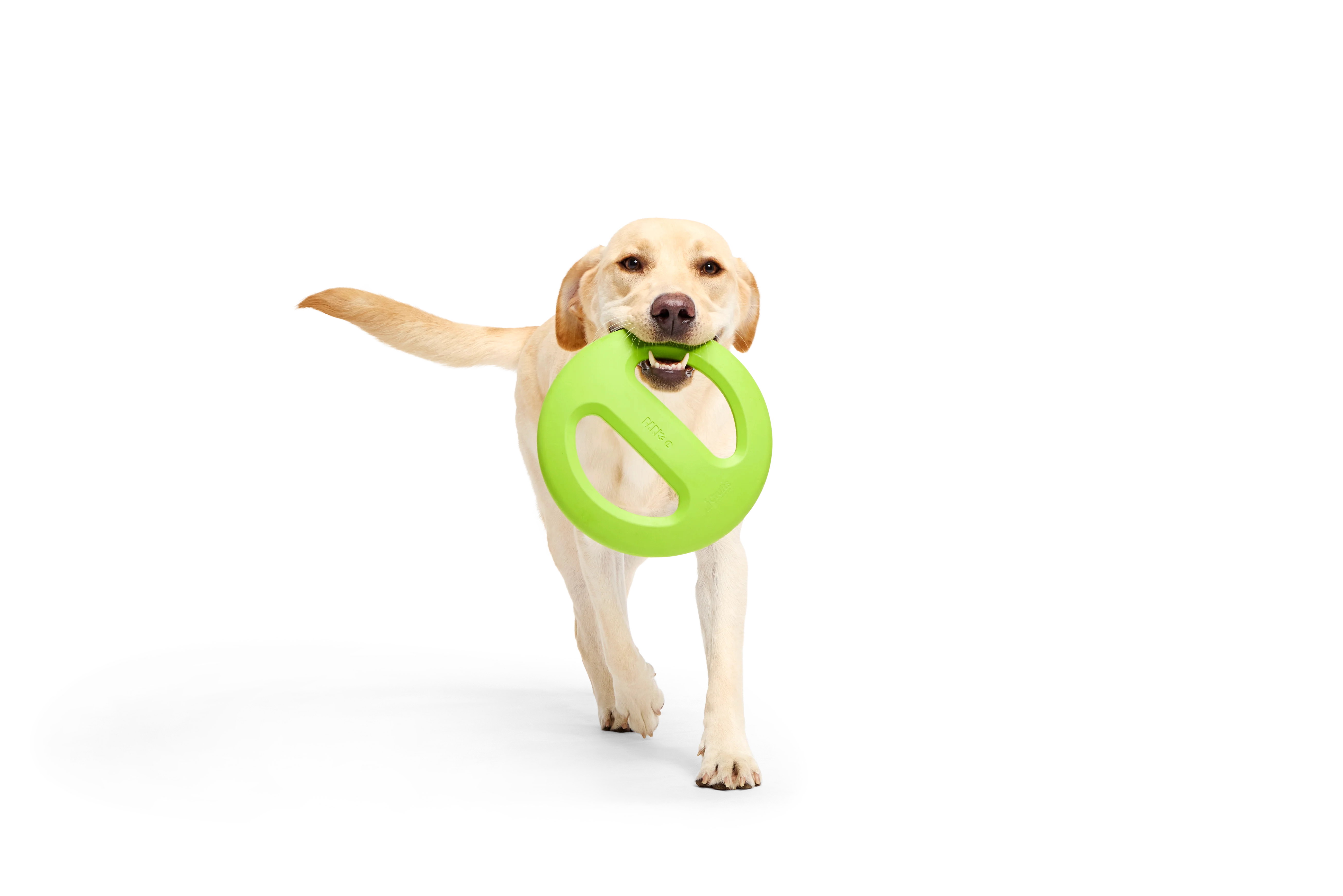 Bark Crufts Aviator