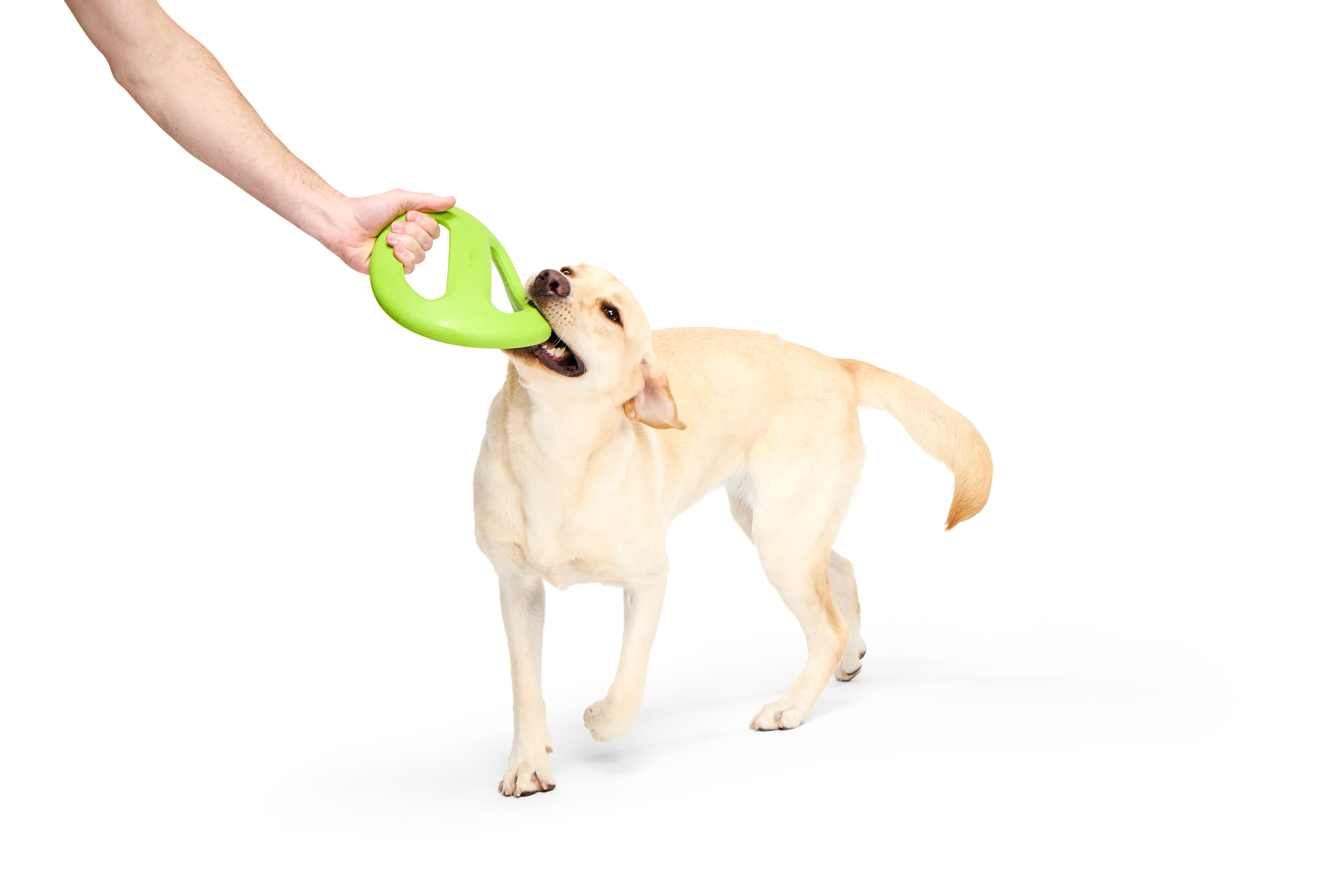 Bark Crufts Aviator - Image 3