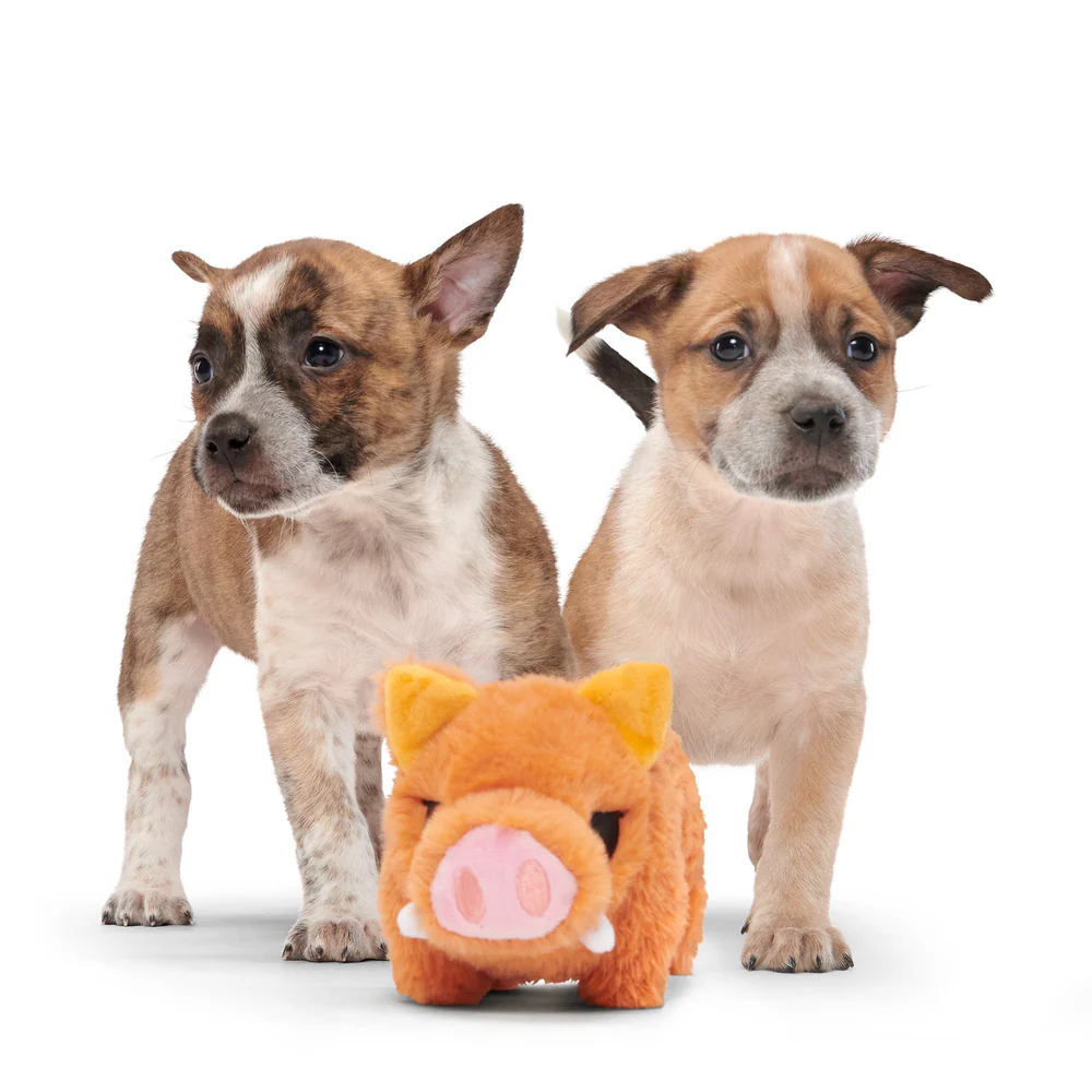Bark Beau The Boar Dog Toy - Image 3