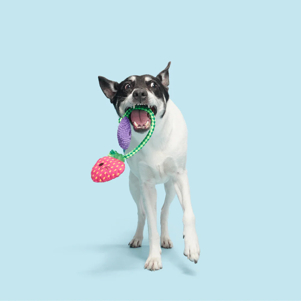 Bark Best Berry Friends Dog Toy - Image 3