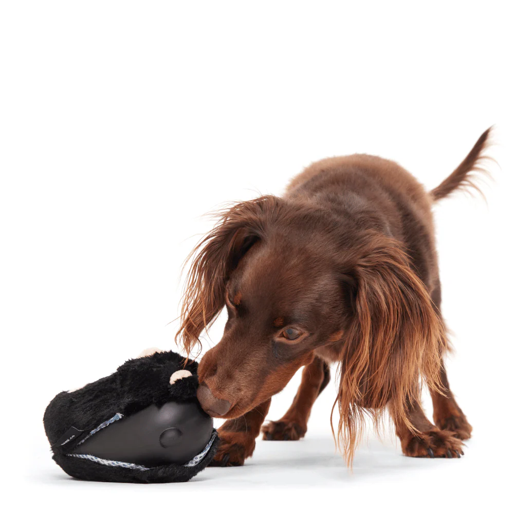 Bark Black Bear Bones Dog Toy - Image 2