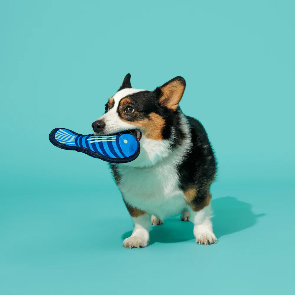Bark Blue Rad Herring Dog Toy - Image 2