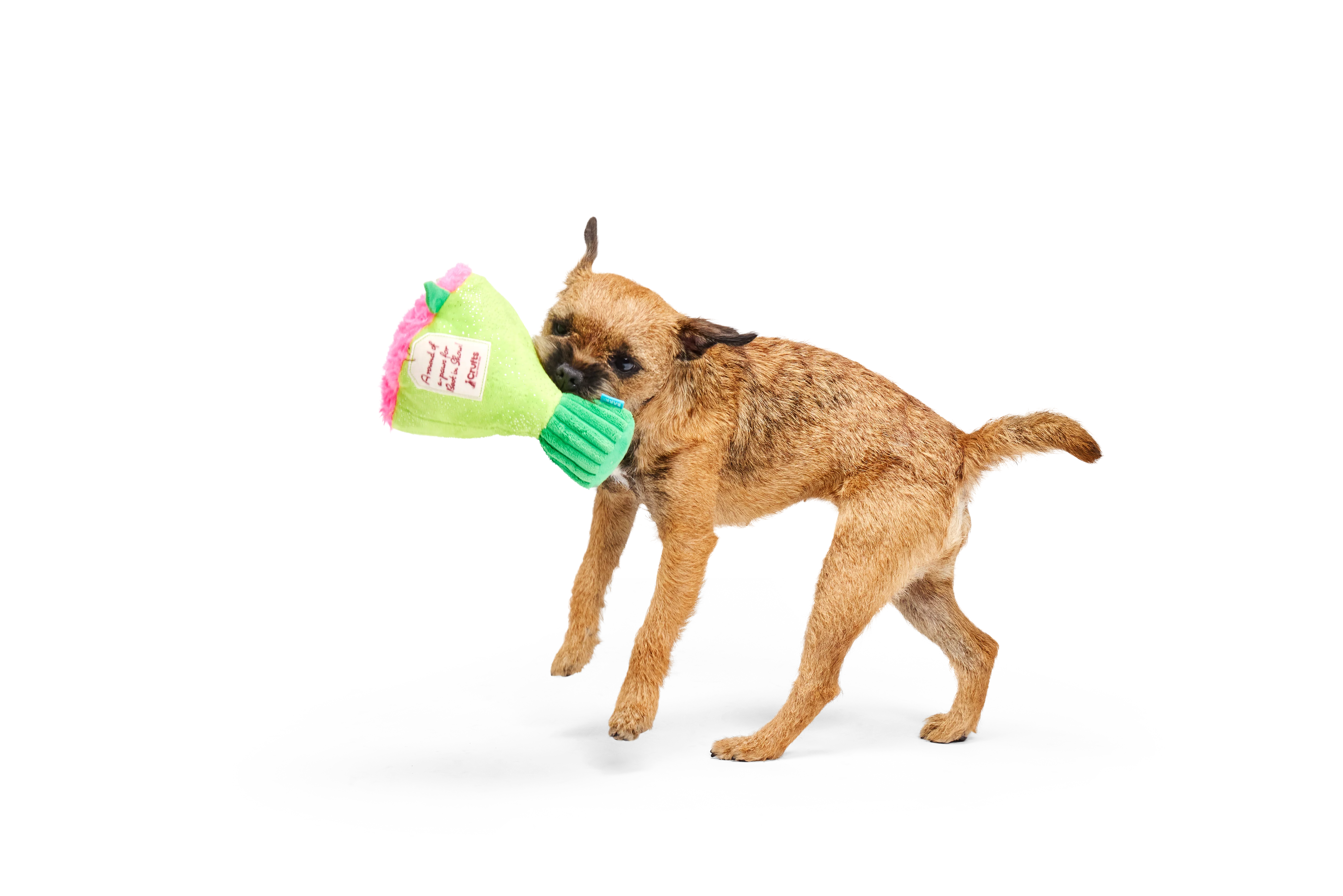 Bark Crufts Boopquet of Roses - Image 2
