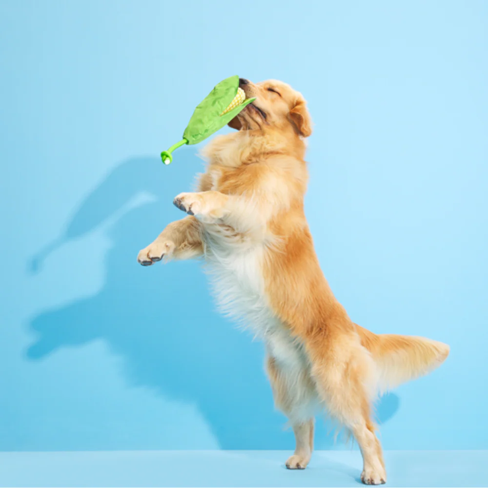 Bark Corn On The Slob Dog Toy - Image 3