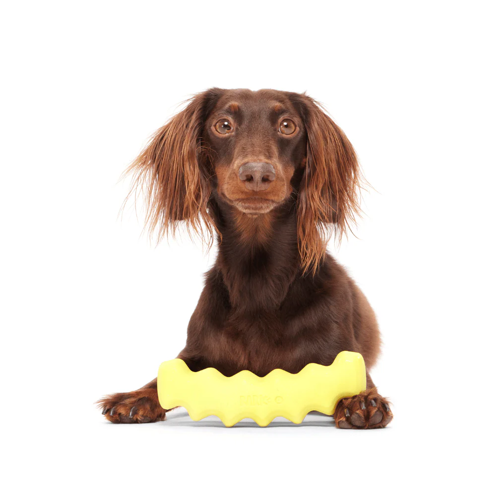 Bark Crinkle Fry Dog Toy - Image 4