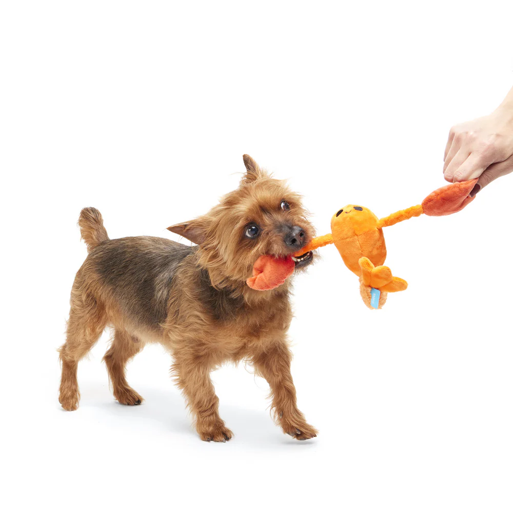 Bark Della Crawfish Dog Toy - Image 3