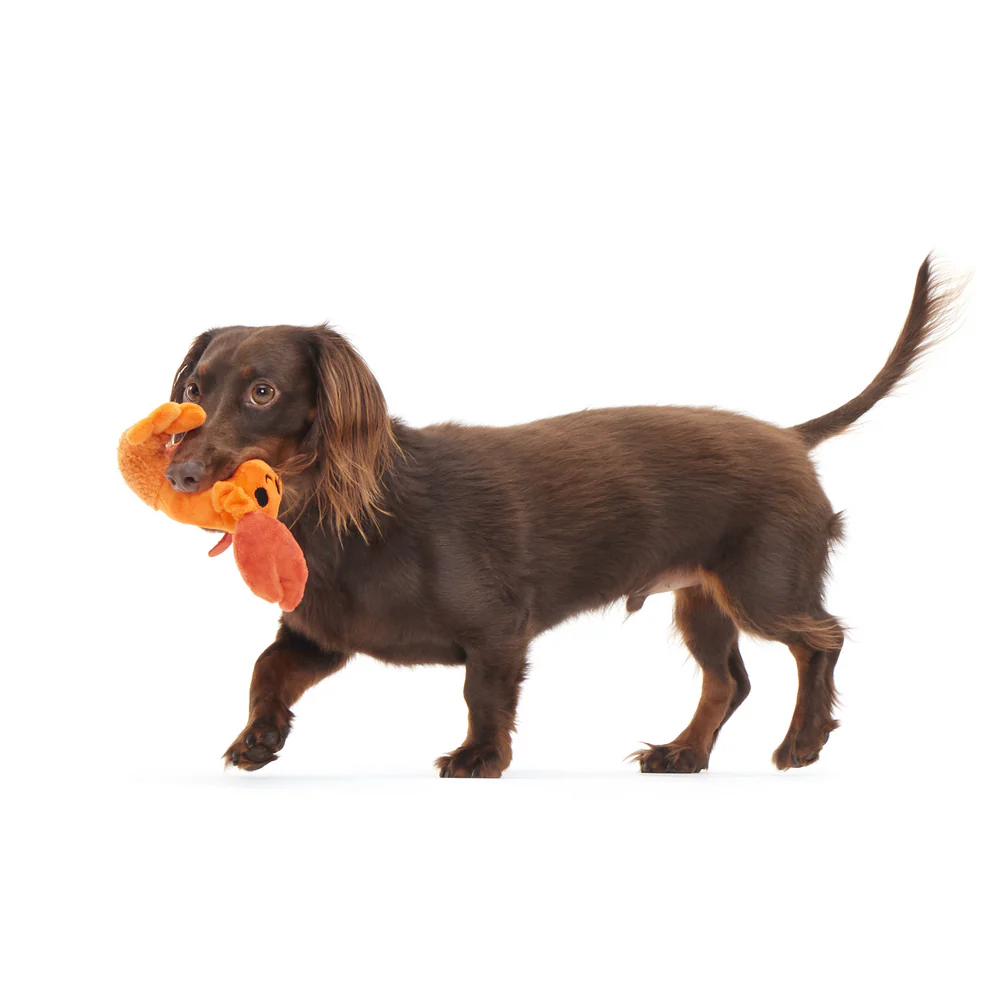 Bark Della Crawfish Dog Toy - Image 4