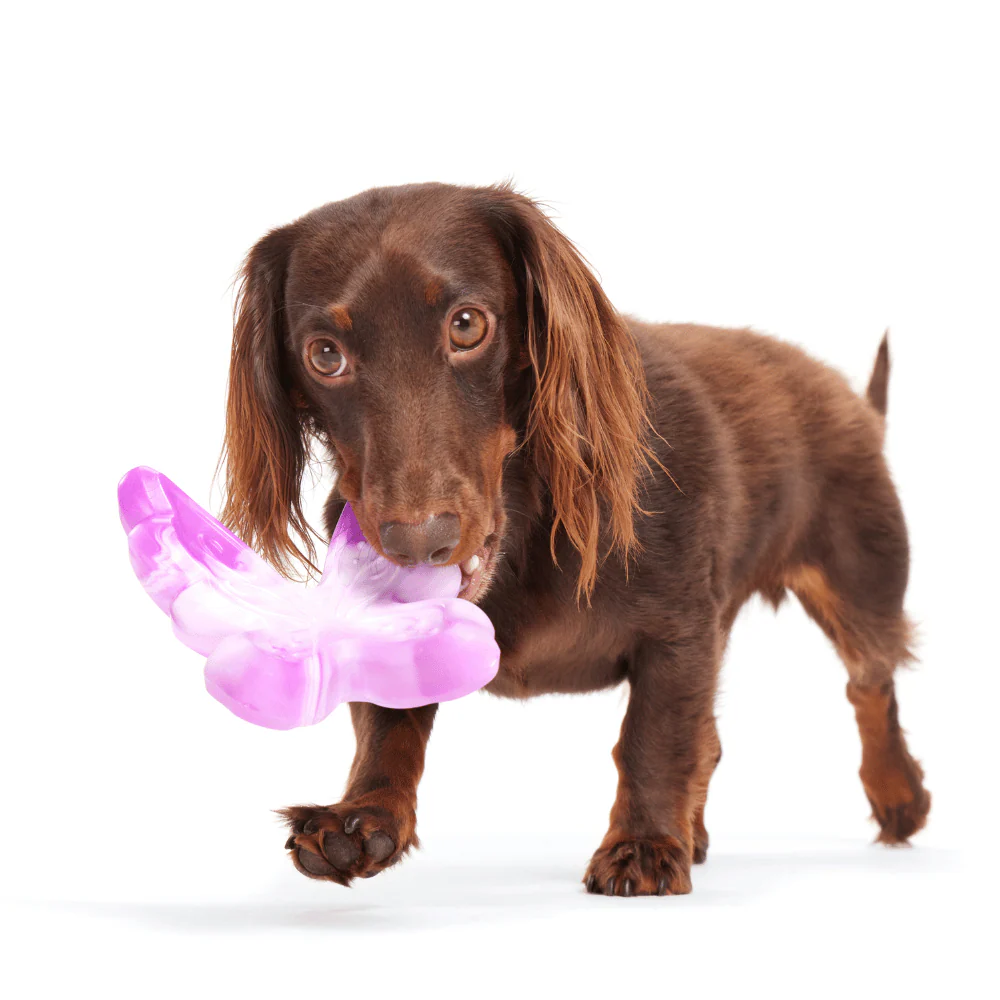 Bark Fairy Dogmother Dog Toy - Image 2