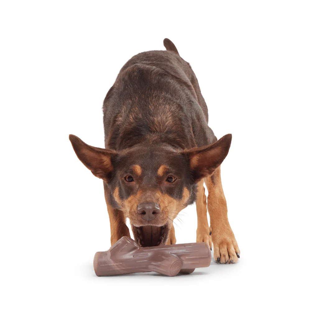 Bark Fall Fetch Stick - Image 3