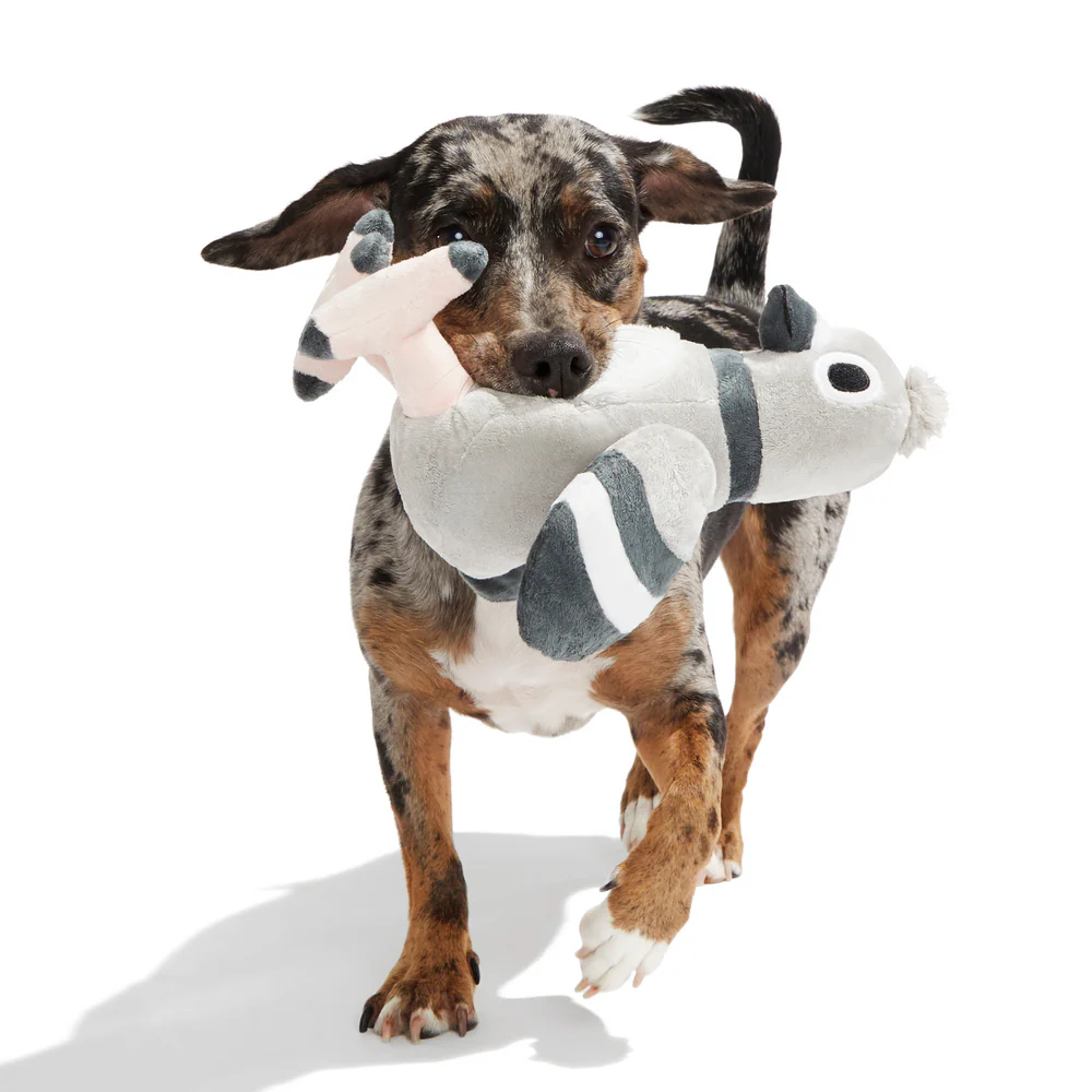 Bark Flappin' Flossie Dog Toy - Image 3