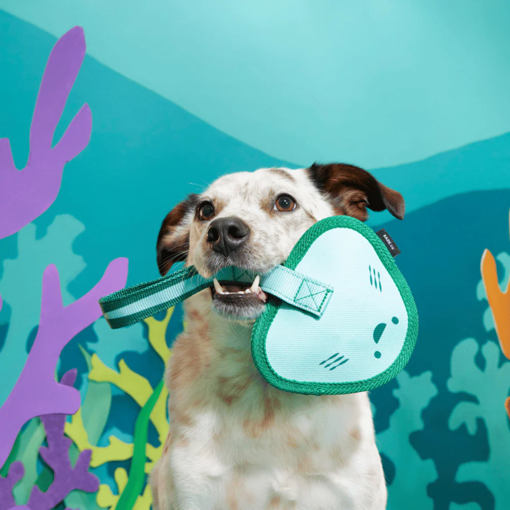 Bark Flingray Dog Toy - Image 2
