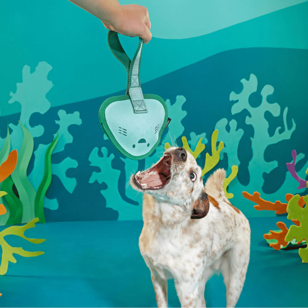 Bark Flingray Dog Toy - Image 3
