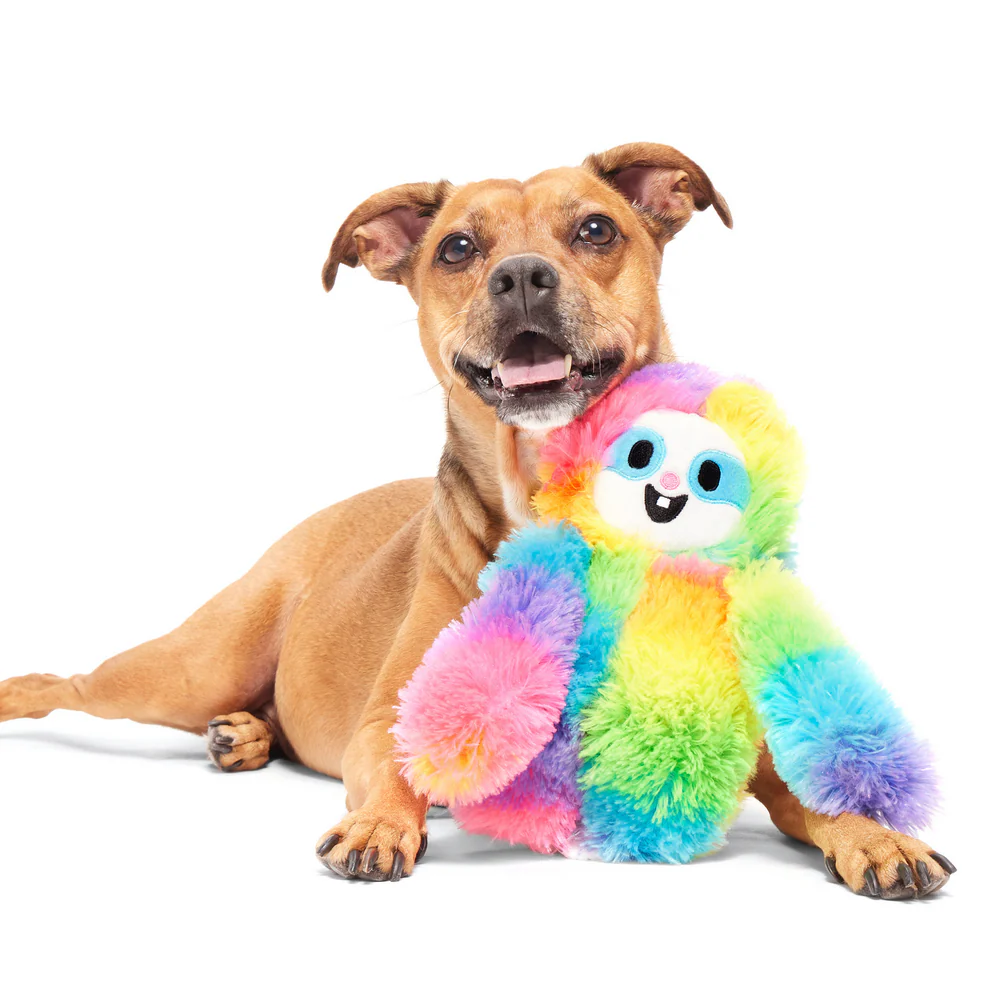 Bark Good Vibes Gary Dog Toy - Image 2