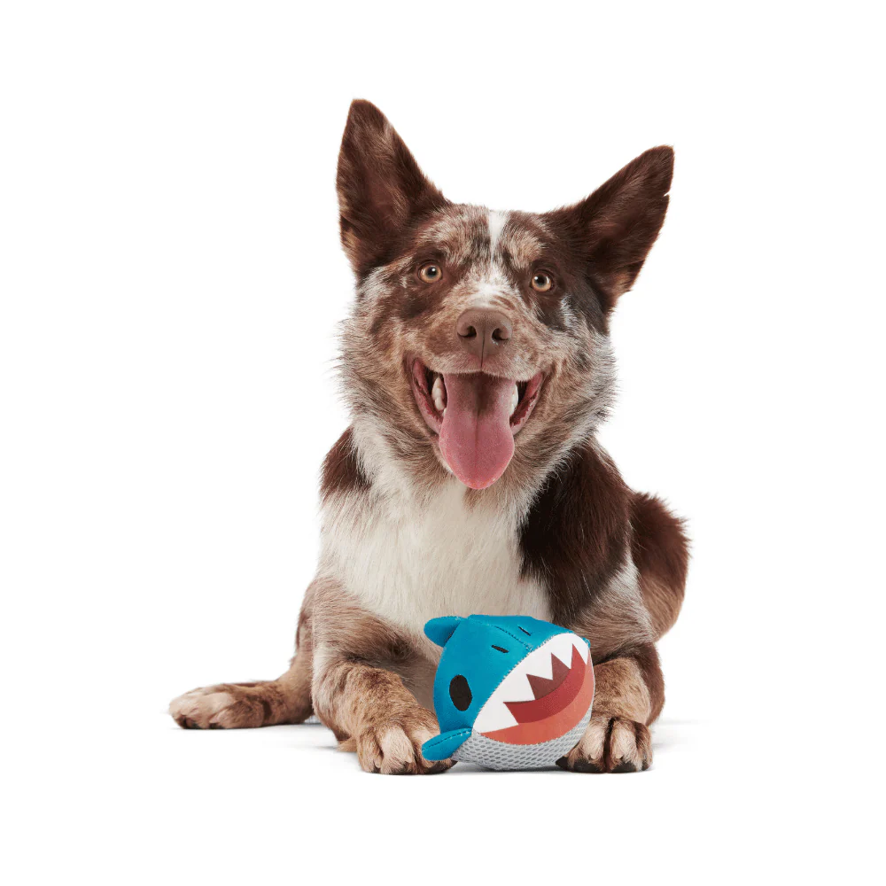 Bark Great White Dwight Dog Toy - Image 2