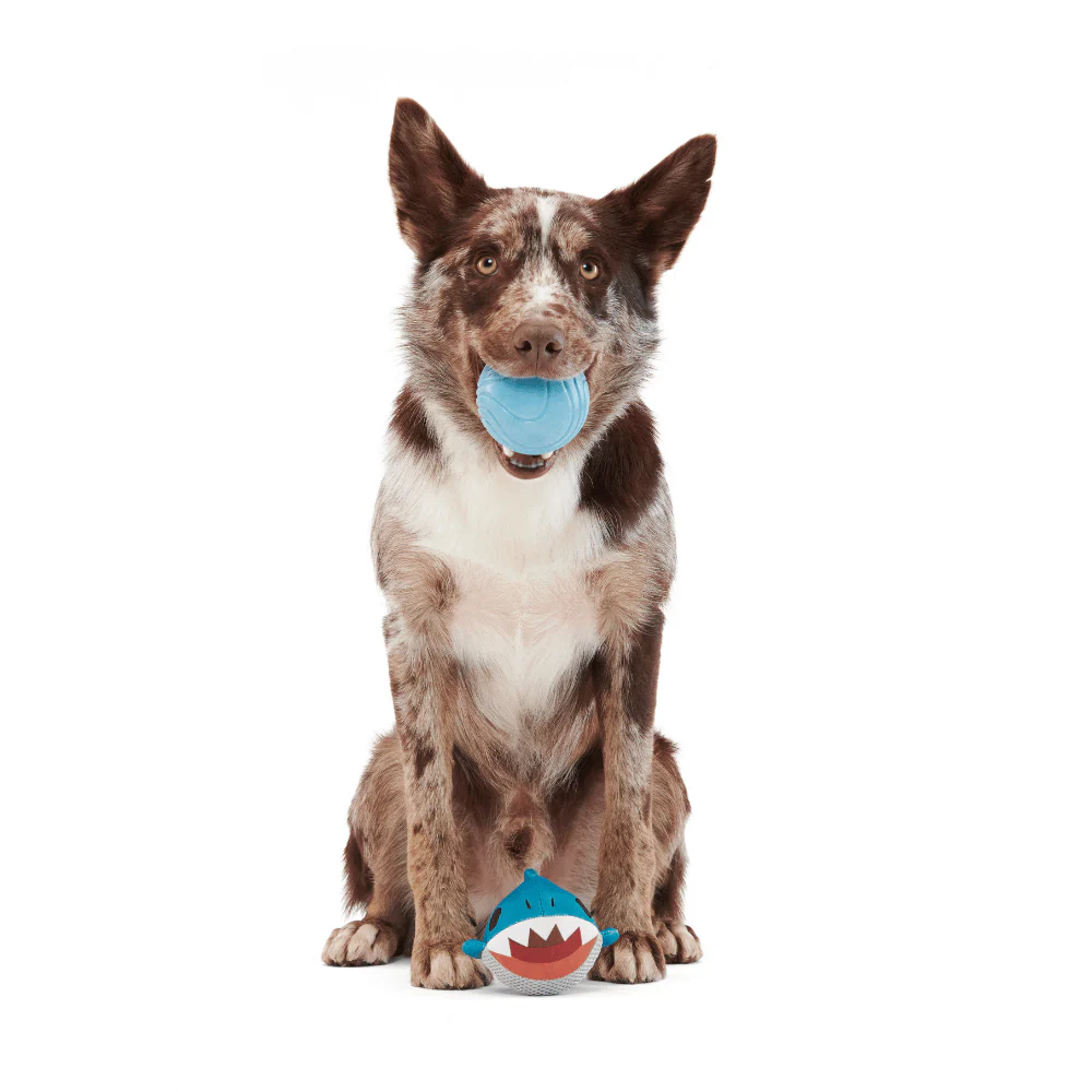 Bark Great White Dwight Dog Toy - Image 3