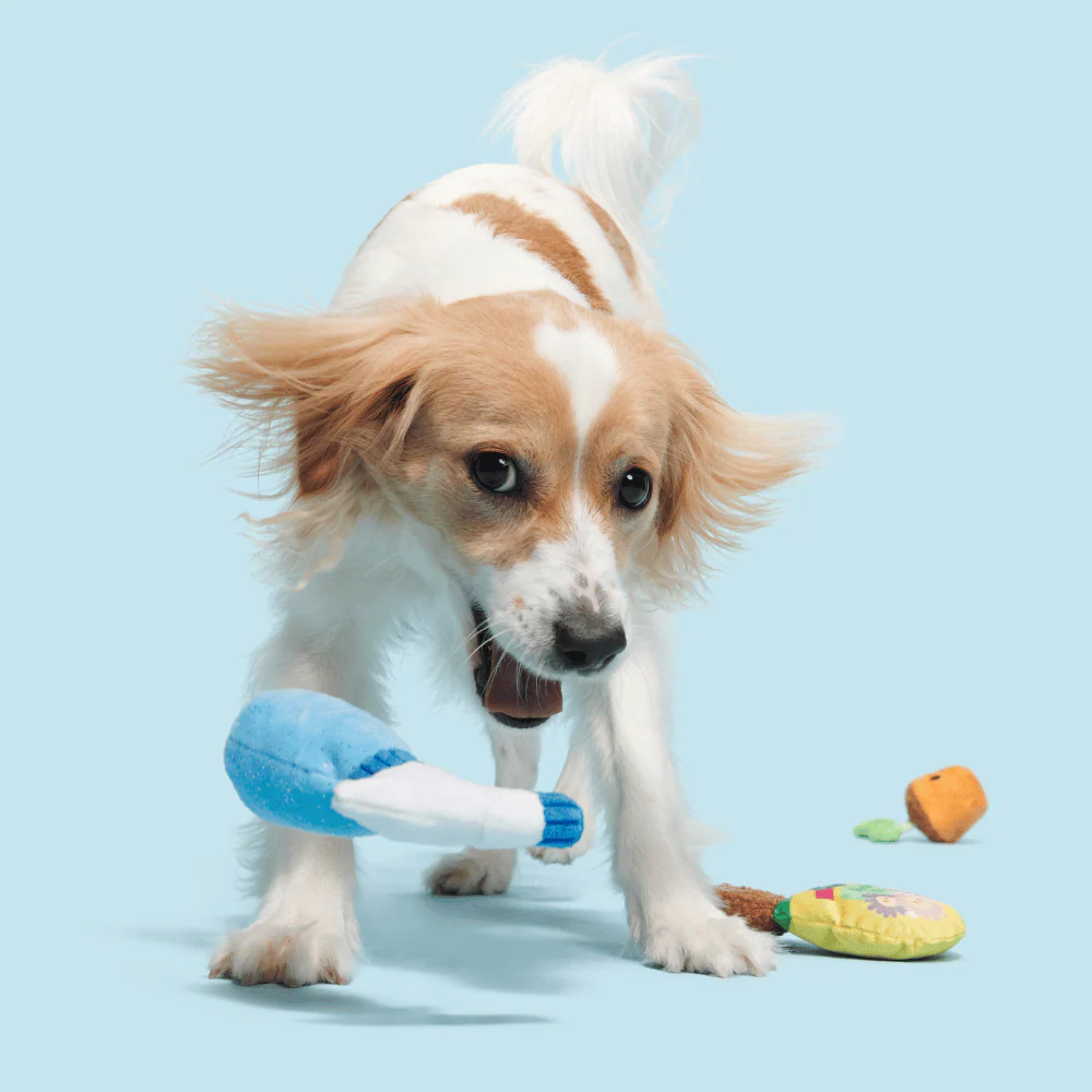 Bark Greenhouse Gang Dog Toy - Image 3