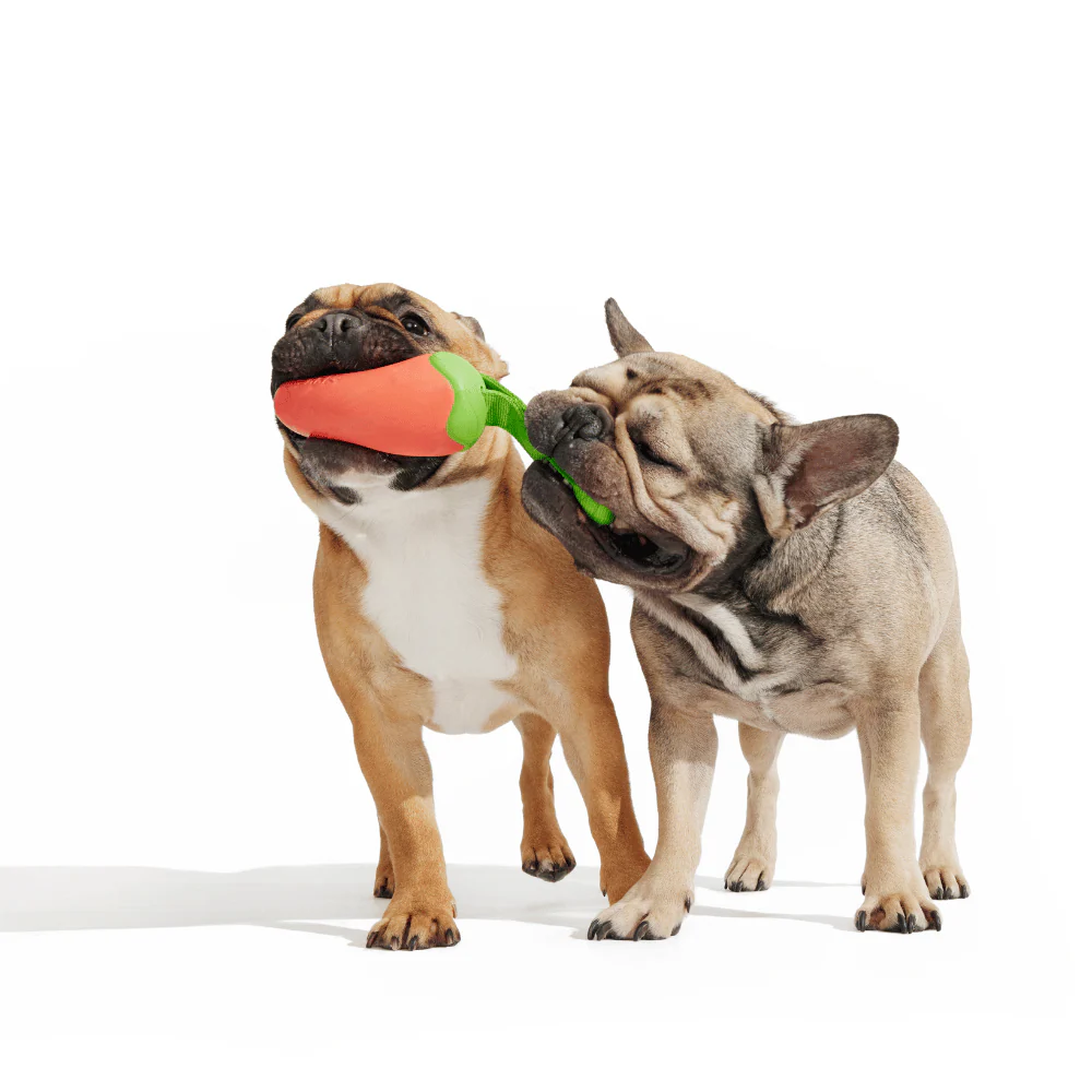Bark Habanero Pupper Dog Toy - Image 2