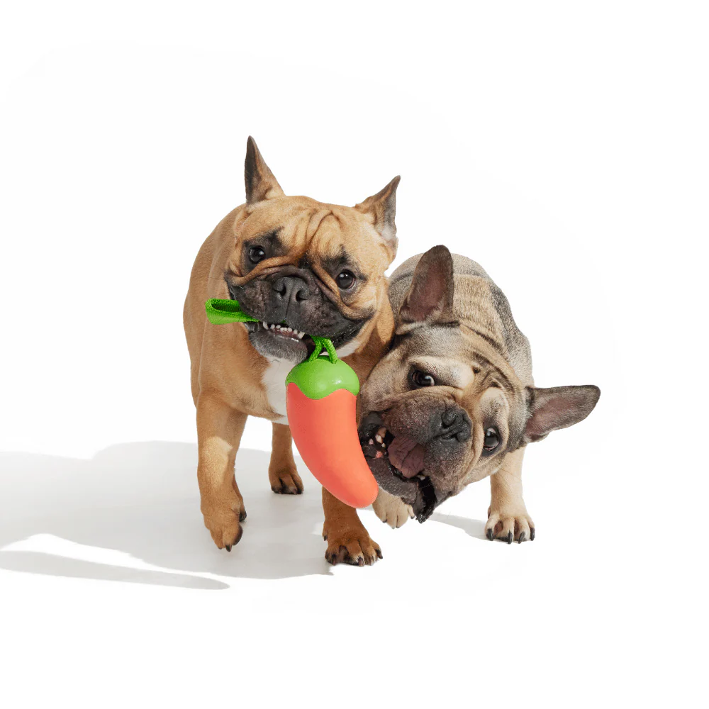 Bark Habanero Pupper Dog Toy - Image 3