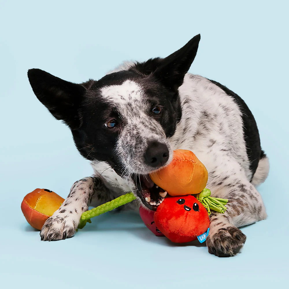 Bark Hairloom Tomatoes Dog Toy - Image 3