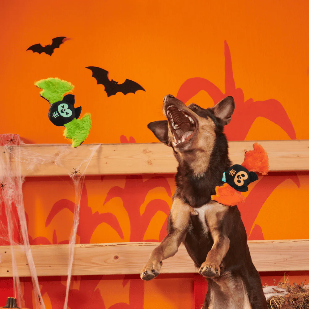 BARK Halloween Flutter & Fang - Image 2