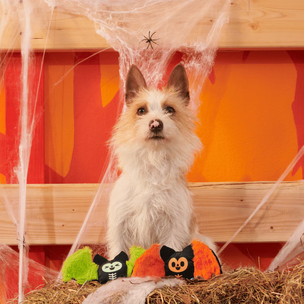 BARK Halloween Flutter & Fang - Image 3