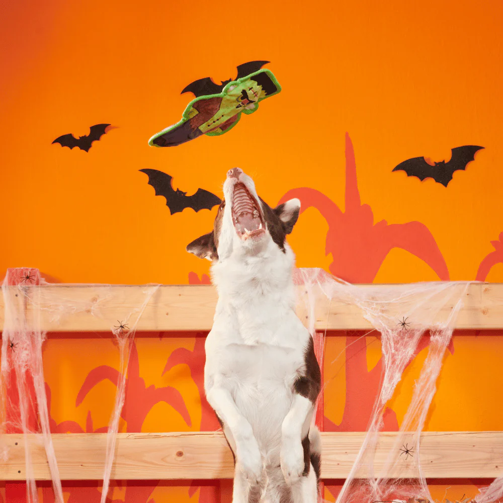 BARK Halloween Frankenstein's Muttster - Image 2