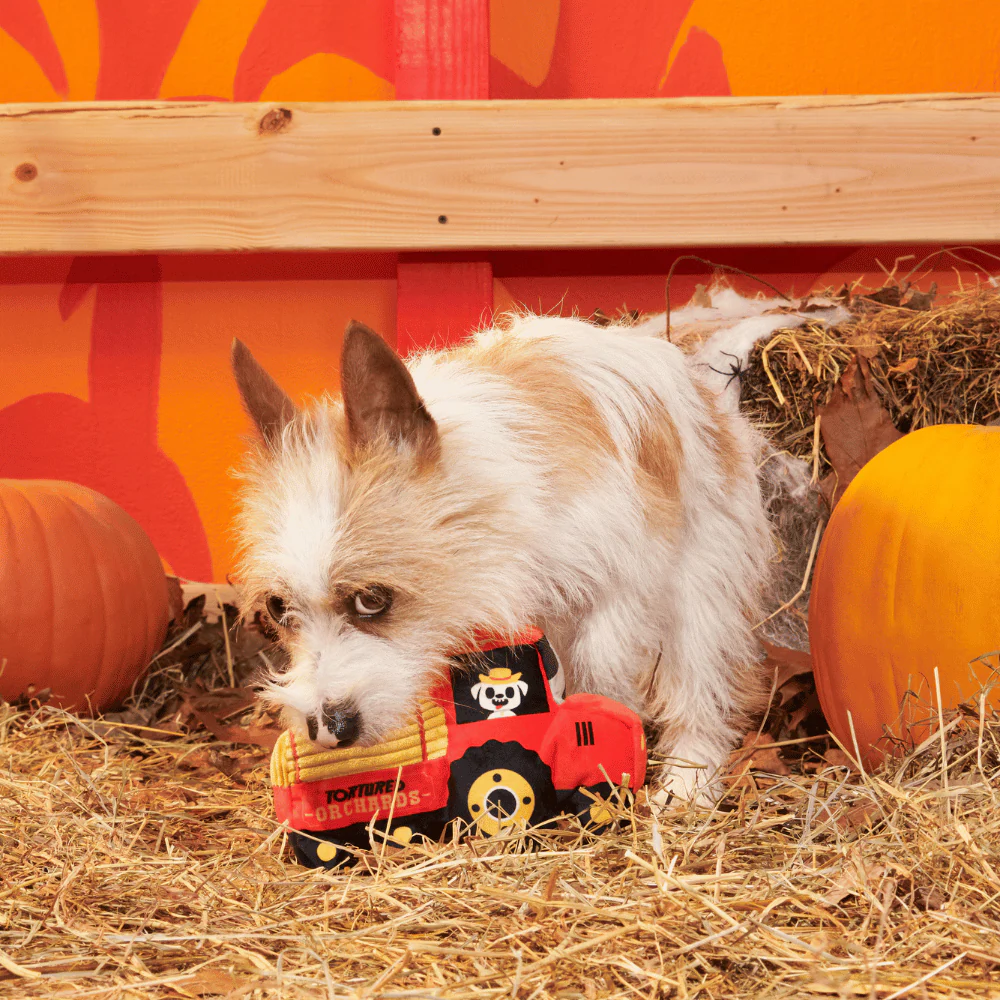 BARK Halloween Oldest McDonald - Image 2