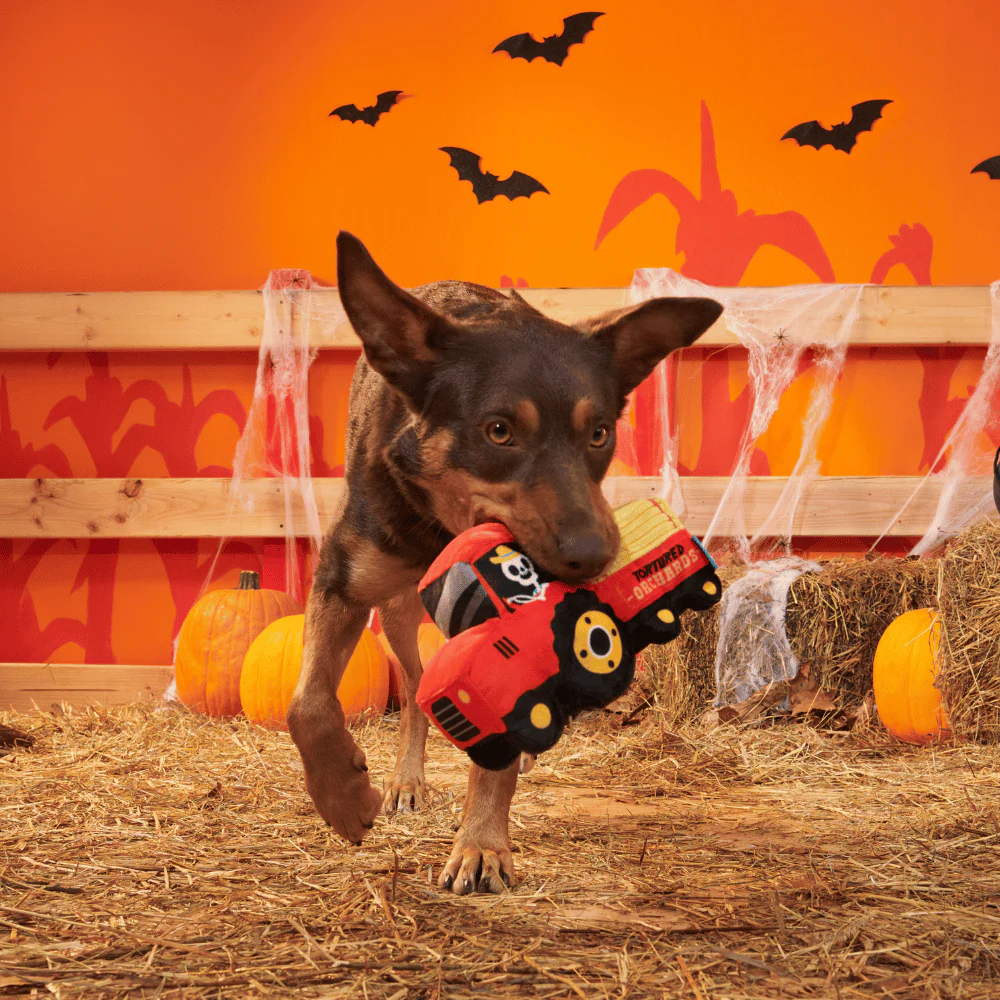BARK Halloween Oldest McDonald - Image 3