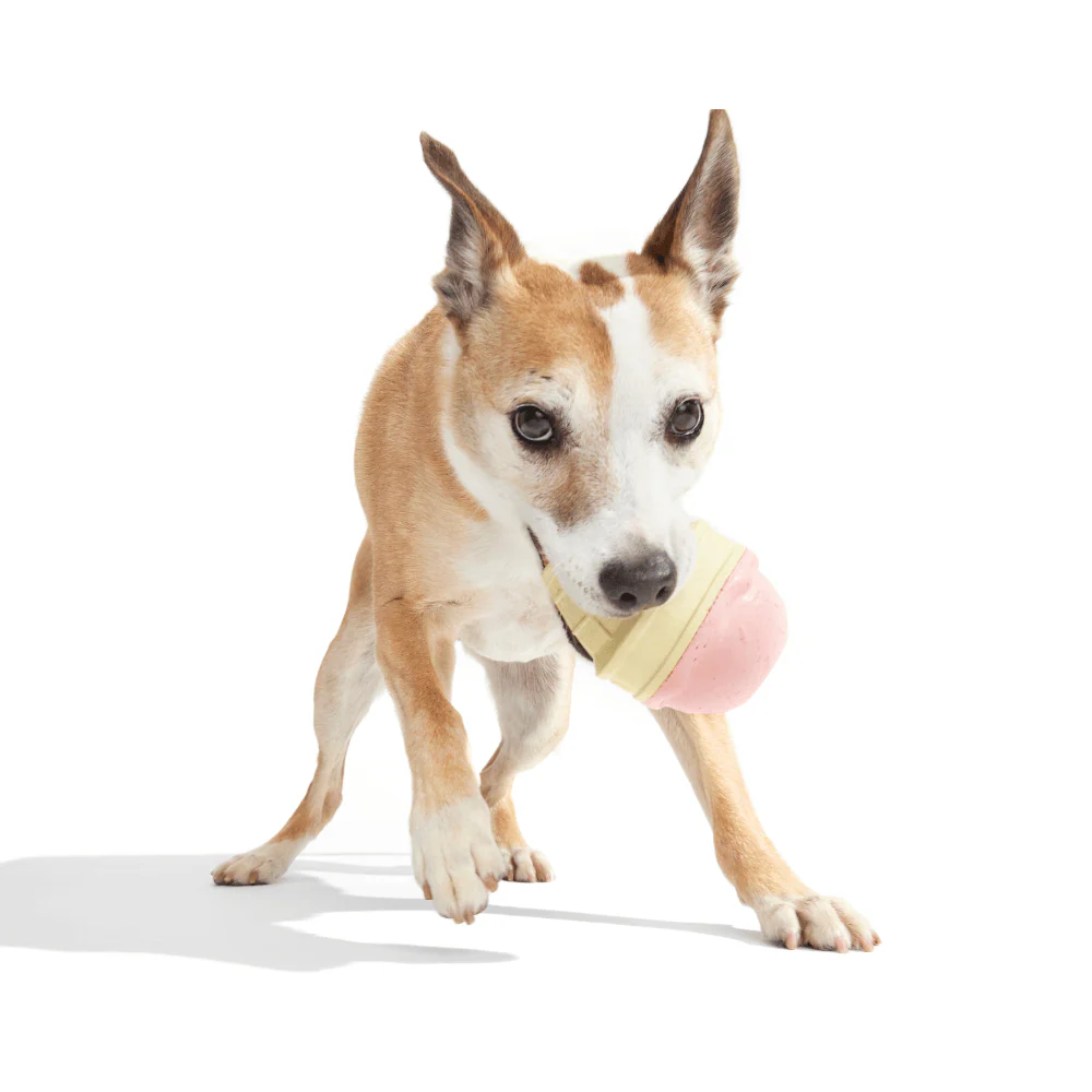Bark I-Squeak Cone Dog Toy - Image 2