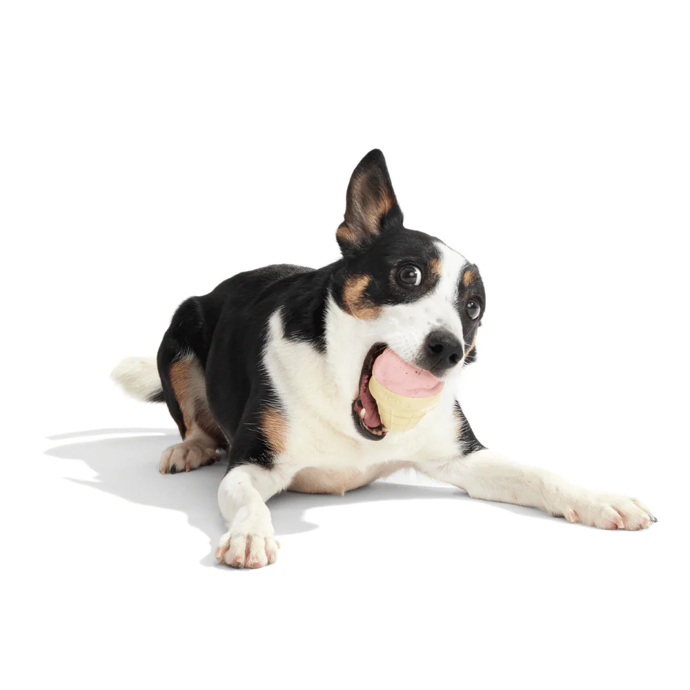 Bark I-Squeak Cone Dog Toy - Image 3