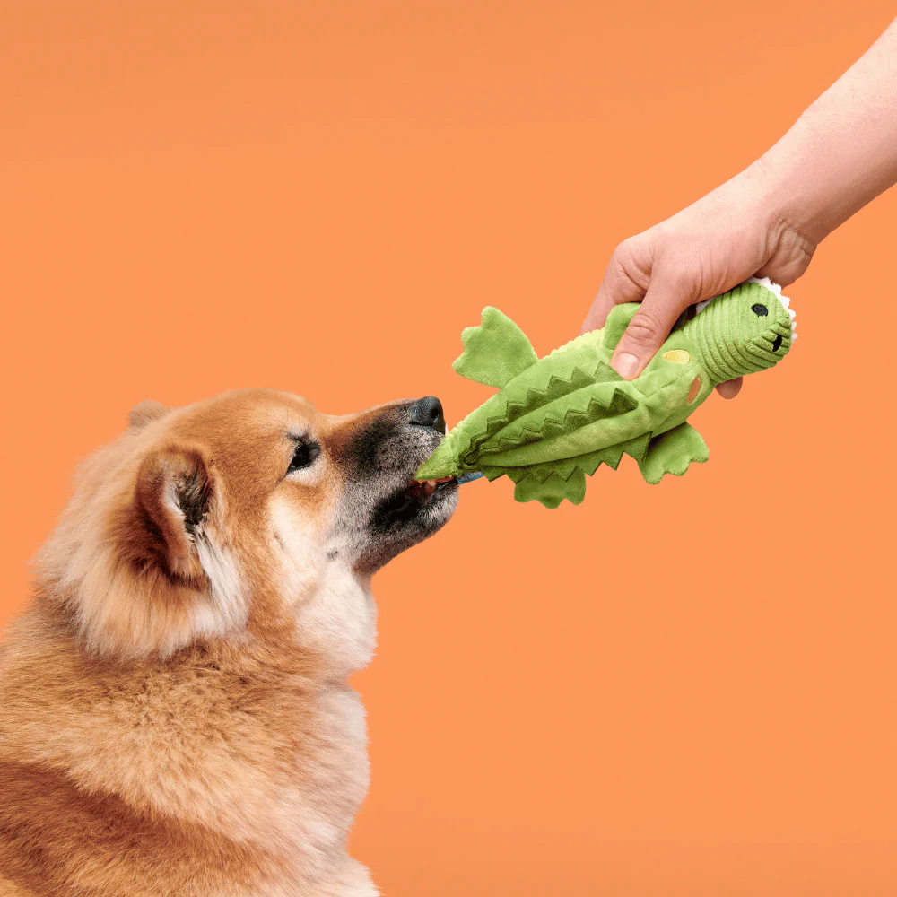 Bark Karri Crocodile Dog Toy - Image 2
