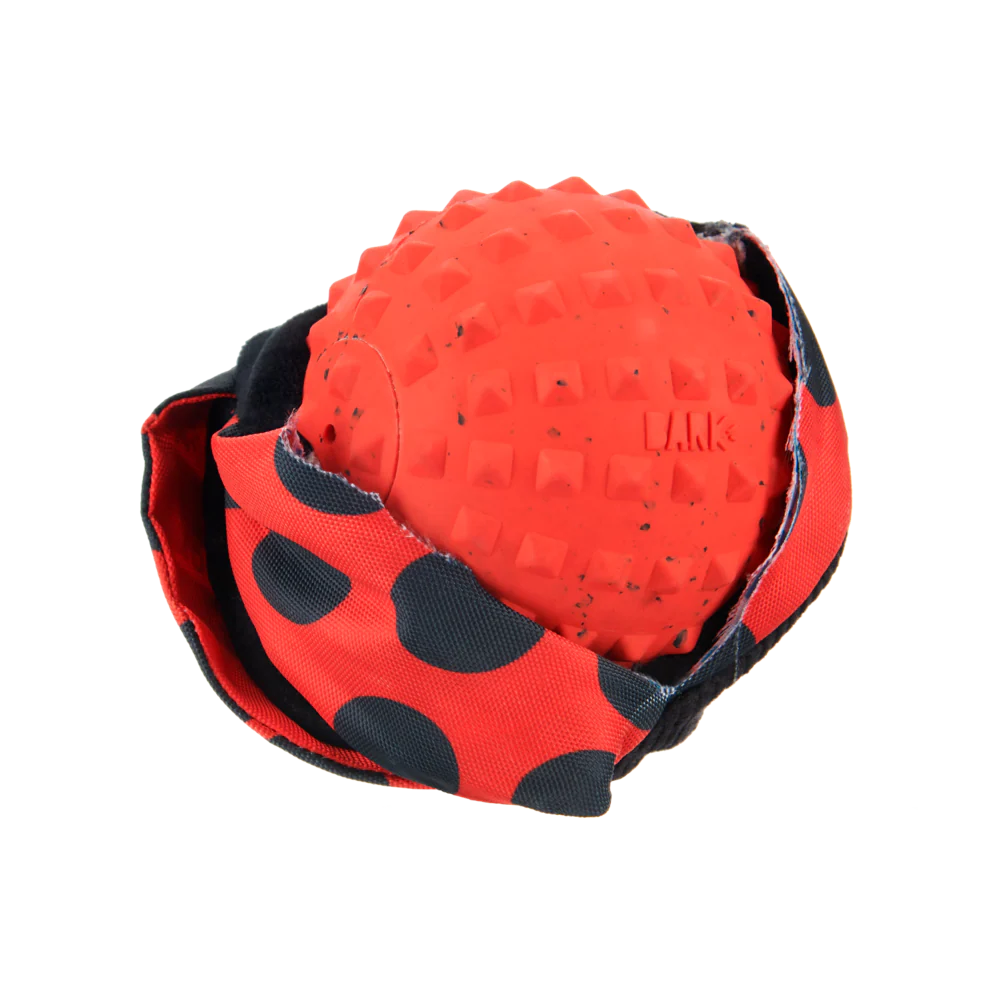 Bark Lady Bugsy Dog Toy - Image 2