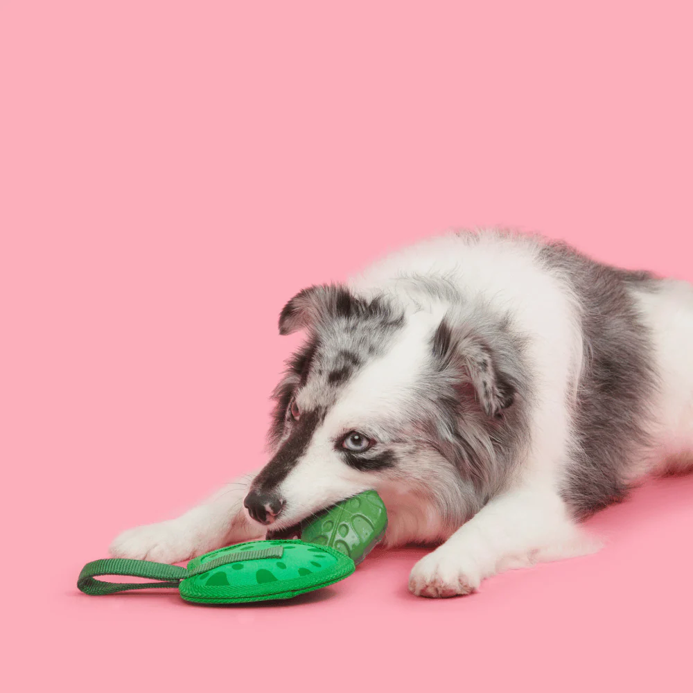 Bark Leaf Thrower Dog Toy - Image 2