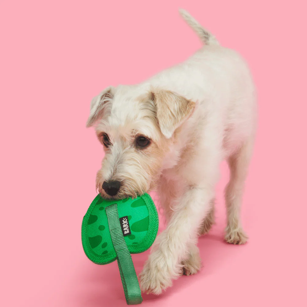 Bark Leaf Thrower Dog Toy - Image 3