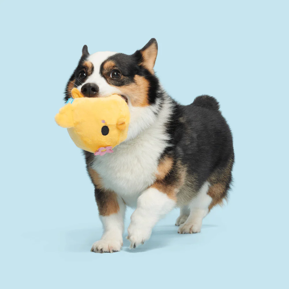 Bark Lil’ Hennifer Dog Toy - Image 2
