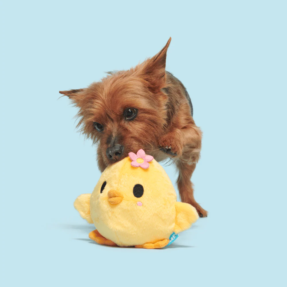 Bark Lil’ Hennifer Dog Toy - Image 3