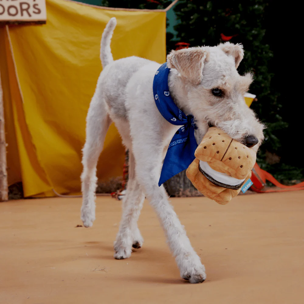 Bark More S'Mores Dog Toy - Image 2