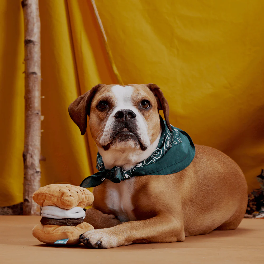 Bark More S'Mores Dog Toy - Image 3