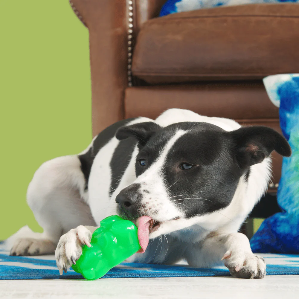 Bark Munchie The Bear Dog Toy - Image 2
