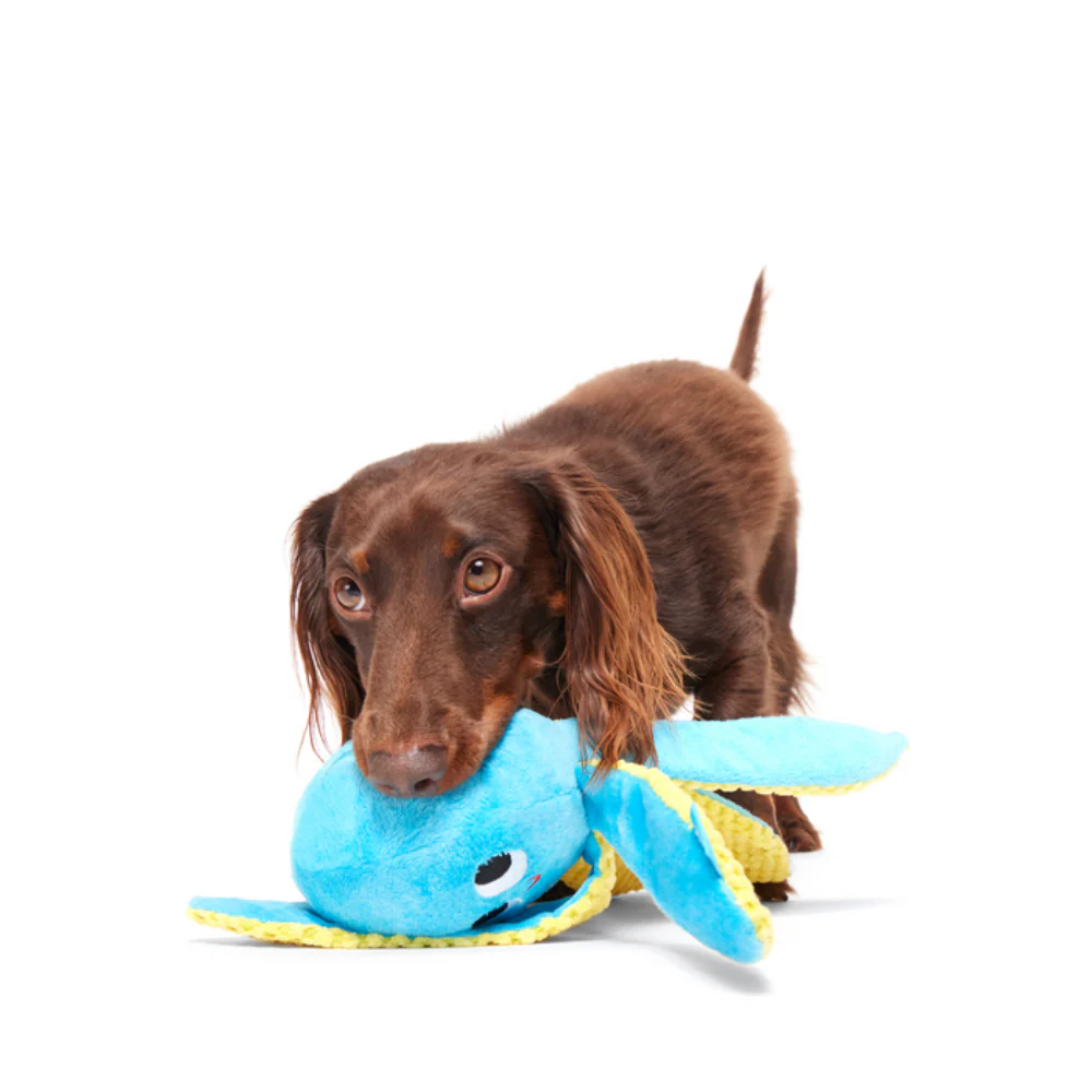Bark Odd Otto Dog Toy - Image 3